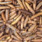 AKCE Apetit - BLACK SOLIDER FLY LARVEA 500g 