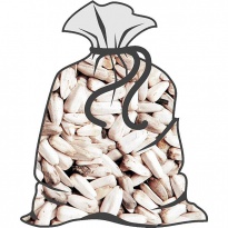 Slunečnice bílá (běžné balení 20kg)