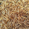 AKCE - Apetit - MEALWORM 60g