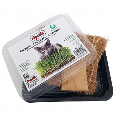 Apetit - Kočičí tráva