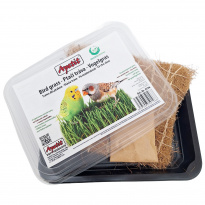 Apetit - Ptačí tráva