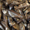 AKCE 07/08/26 Apetit - DRY FISH 50g
