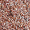 AKCE Apetit - GAMMARUS 50g