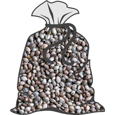 Semenec - semeno konopí (běžné balení 20kg)