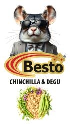 CHINCHILLA & DEGU