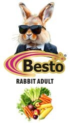 RABBIT ADULT